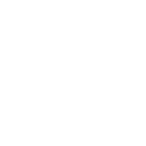 Snack King Tacos logo